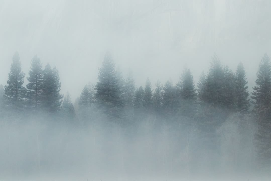 https://static.ws.126.net/163/frontend/images/2022/empty.png